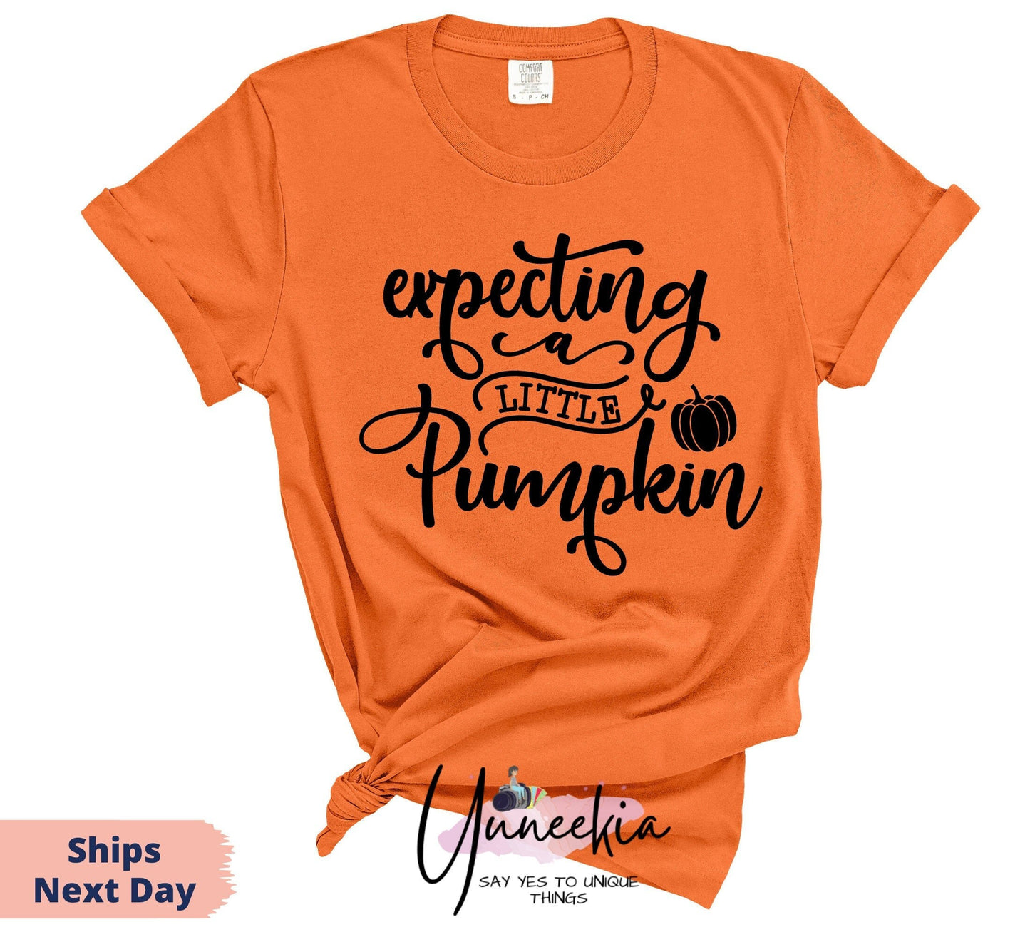 Expecting A Little Pumpkin Shirt, Pregnancy Announcement Shirt, Mommy To Be Shirt, Autumn T-Shirt, Thanksgiving Shirt, Maternity Gift