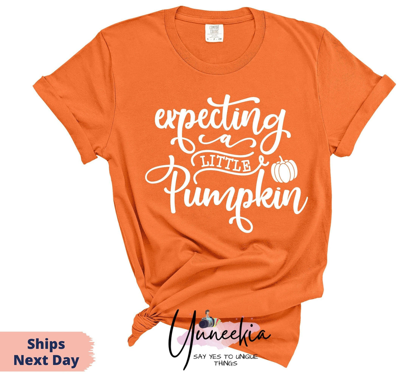 Expecting A Little Pumpkin Shirt, Pregnancy Announcement Shirt, Mommy To Be Shirt, Autumn T-Shirt, Thanksgiving Shirt, Maternity Gift